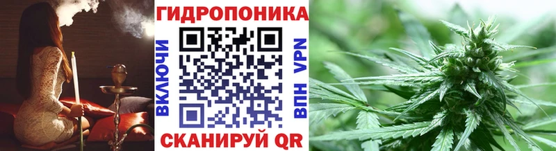 Канабис MAZAR  Купить  Гвардейск 